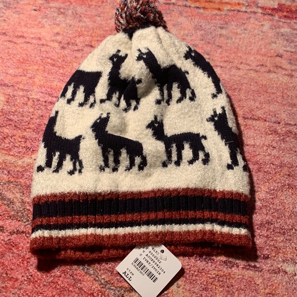 Free People wool hat
